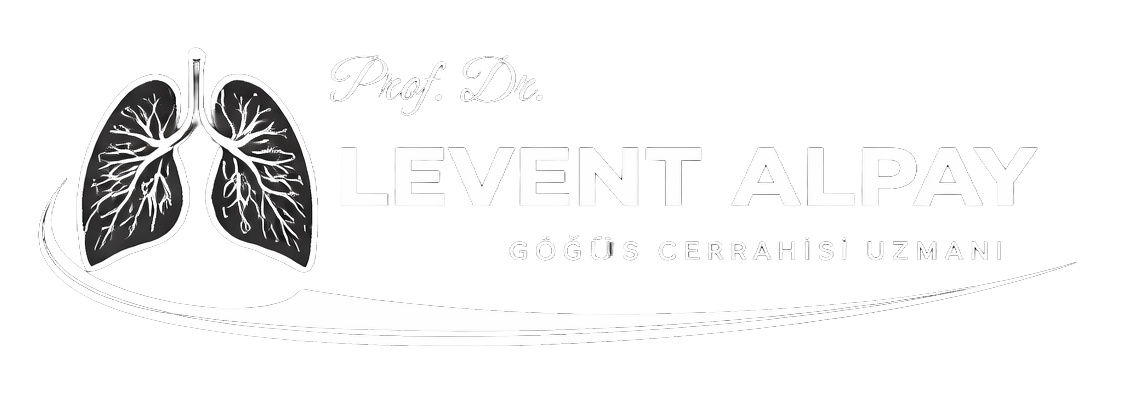 Prof. Dr. Levent Alpay