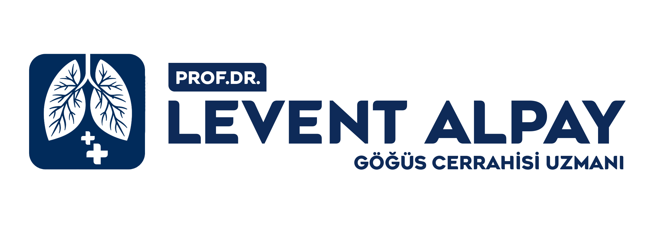 جراح الصدر | البروفيسور الدكتور ليفنت ألباي